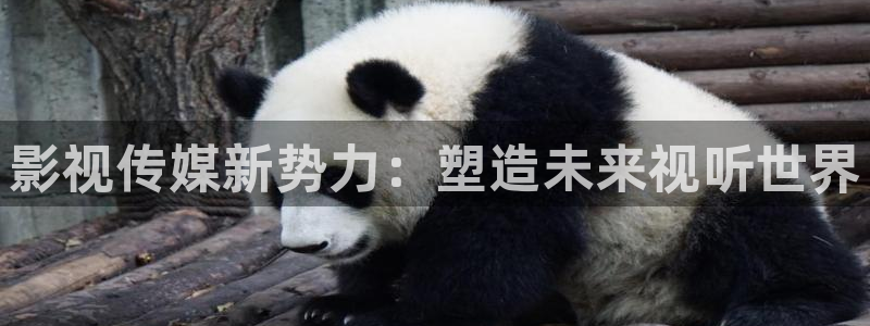 向日葵丝瓜视频：影视传媒新势力：塑造未来视听世界