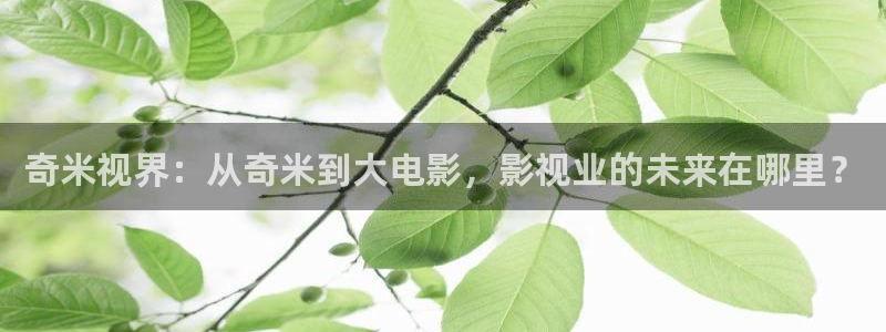 在线丝瓜：奇米视界：从奇米到大电影，影视业的未来在哪里？