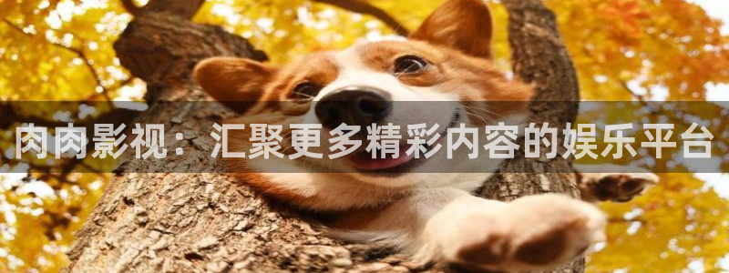 美女亲丝瓜视频