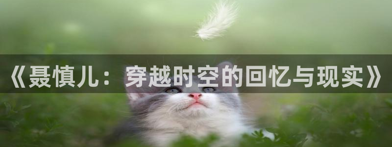 成年人版丝瓜视频