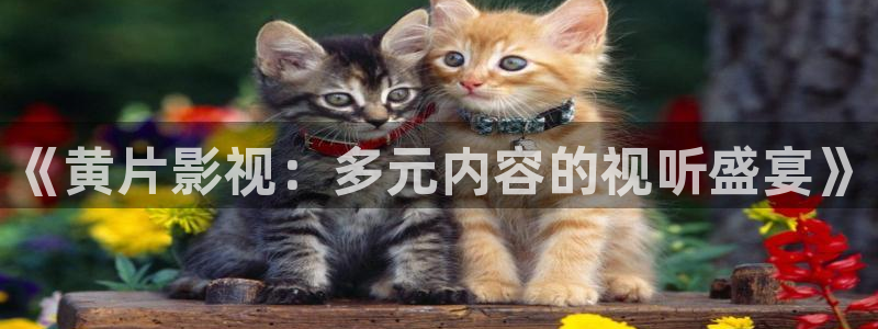 丝瓜视频ios下载链接