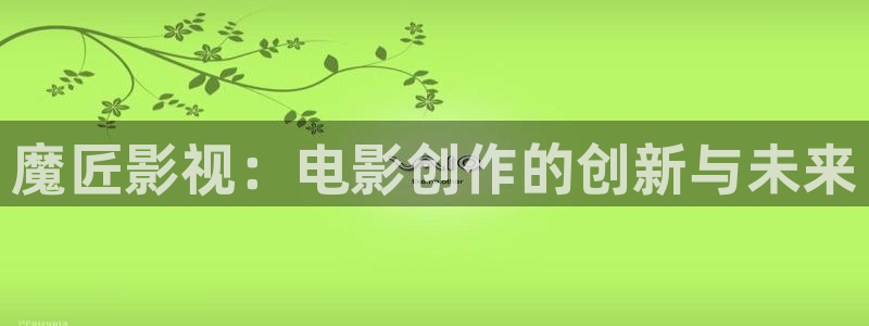 野丝瓜：魔匠影视：电影创作的创新与未来
